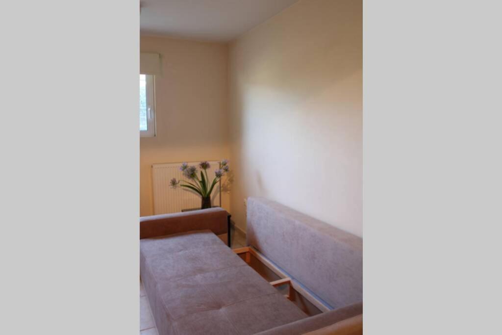 Aretis St Apartment 纳夫普利翁 外观 照片